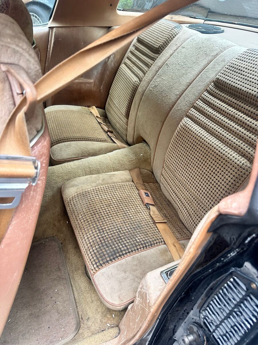 1980 Pontiac Trans Am WS6 - photo 13
