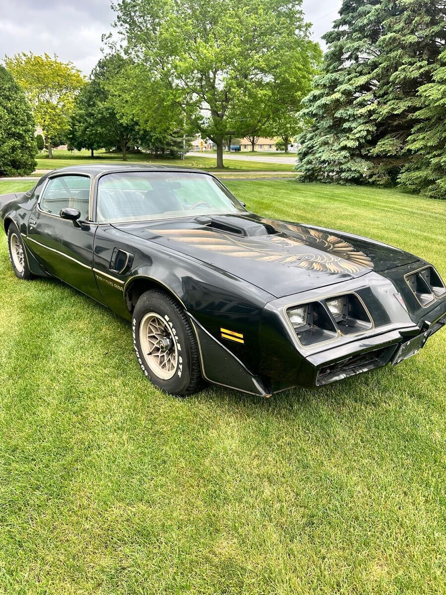 1980 Pontiac Trans Am WS6 - photo 3