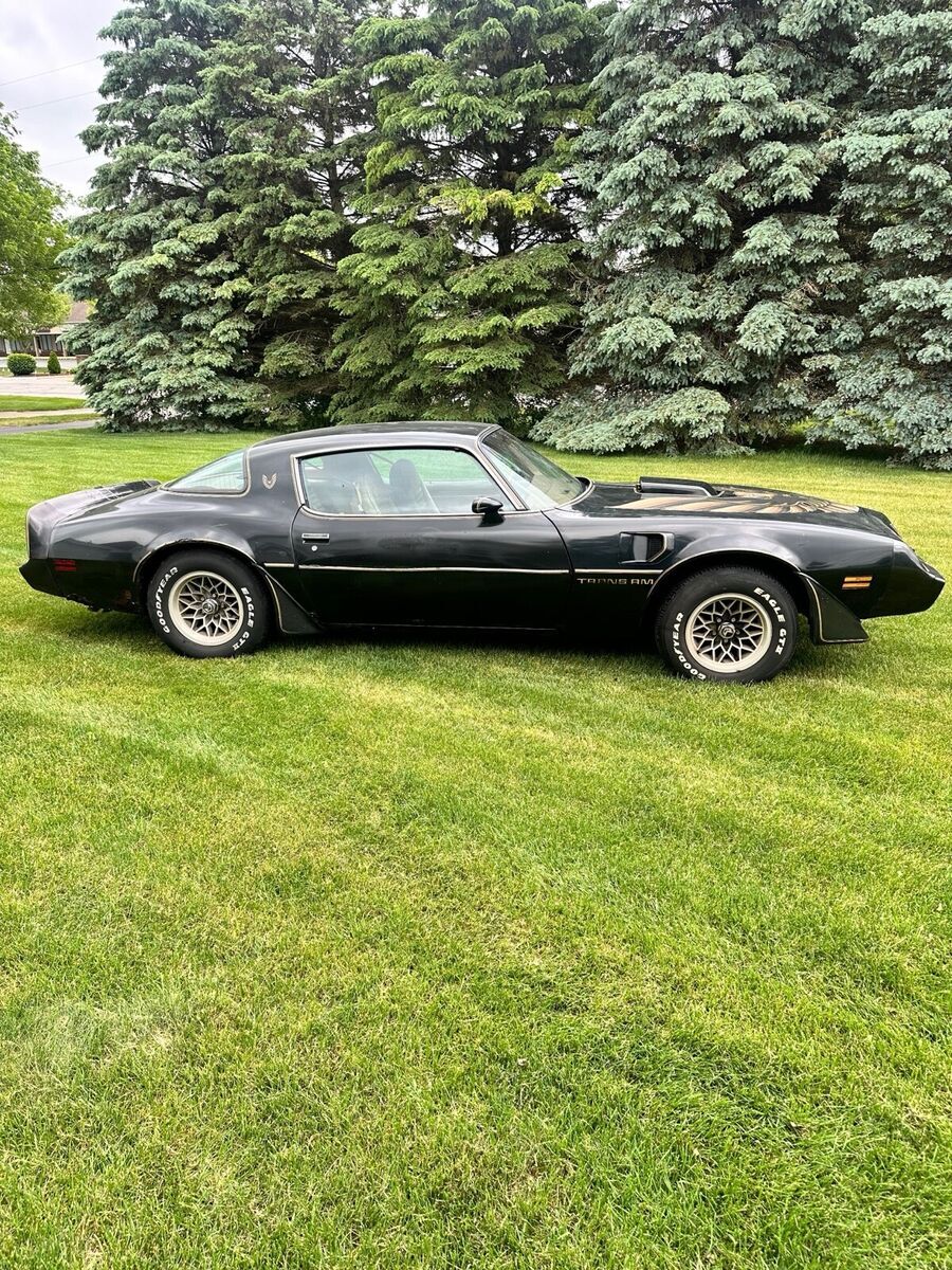 1980 Pontiac Trans Am WS6 - photo 4
