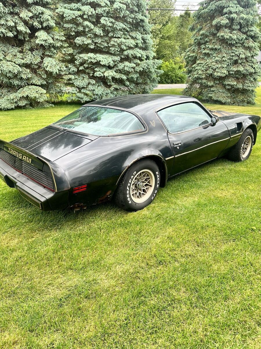 1980 Pontiac Trans Am WS6 - photo 5
