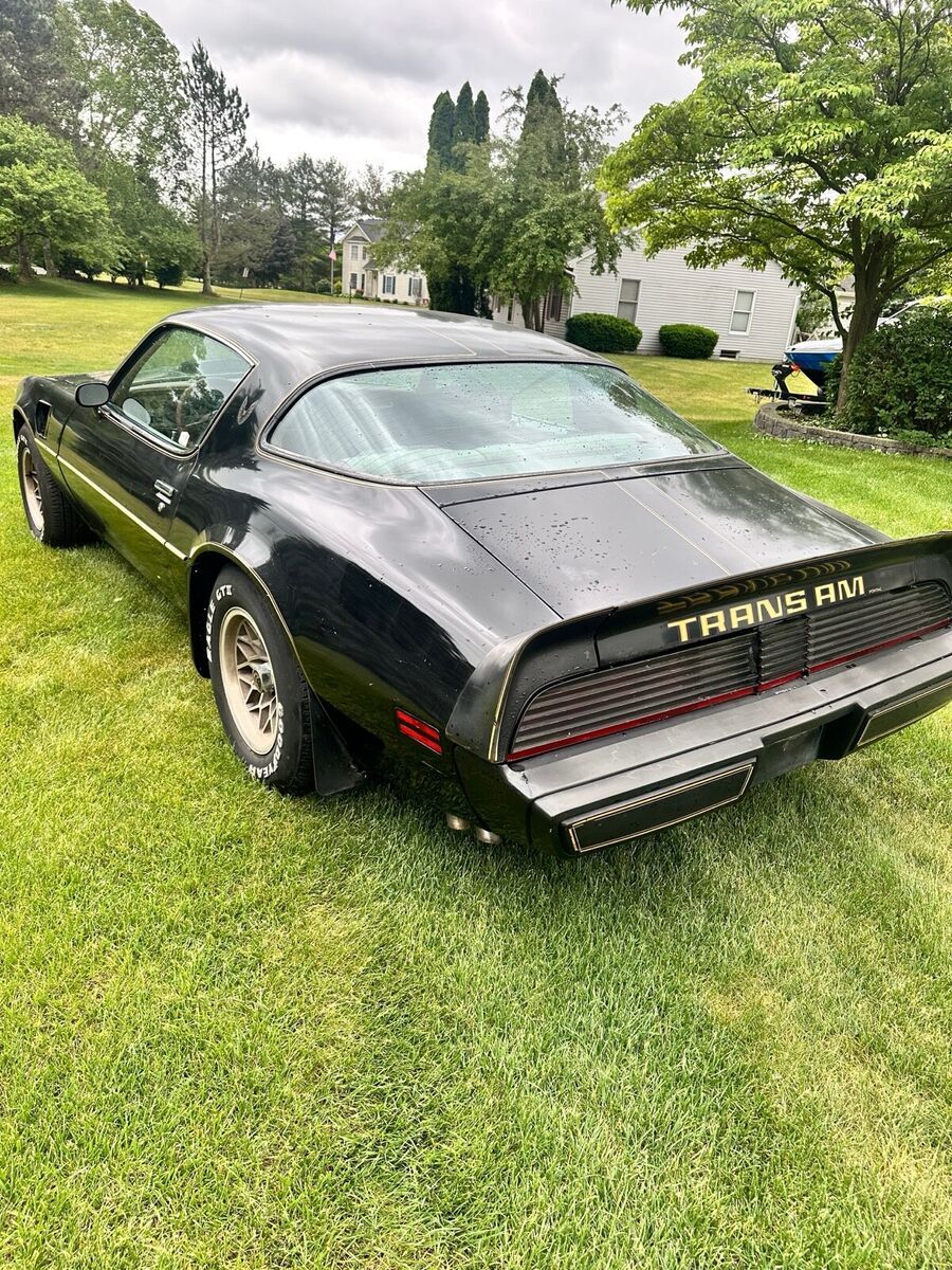 1980 Pontiac Trans Am WS6 - photo 7