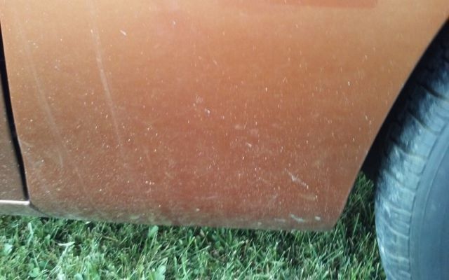 1980 Pontiac Trans Am - photo 10