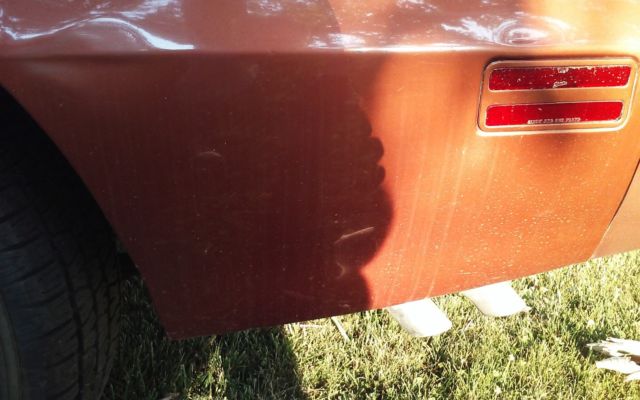 1980 Pontiac Trans Am - photo 12