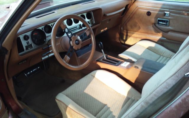 1980 Pontiac Trans Am - photo 13