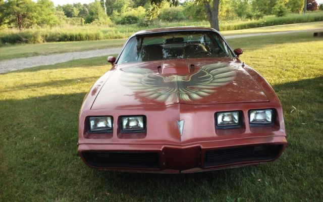 1980 Pontiac Trans Am - photo 2