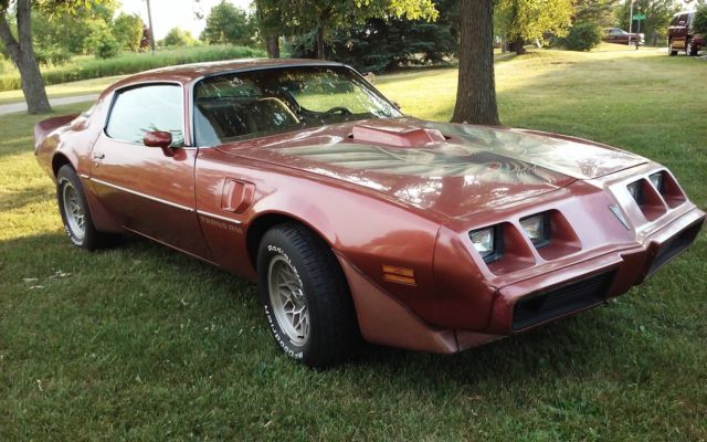 1980 Pontiac Trans Am - photo 3