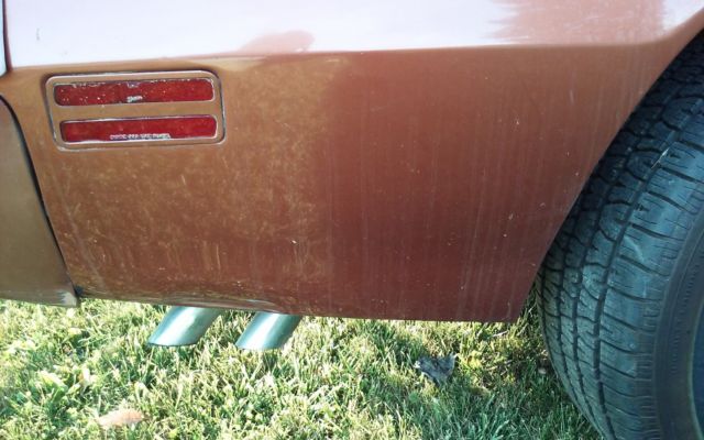 1980 Pontiac Trans Am - photo 5