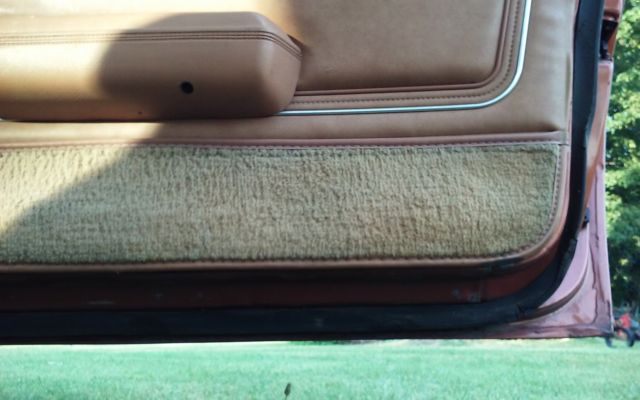 1980 Pontiac Trans Am - photo 6