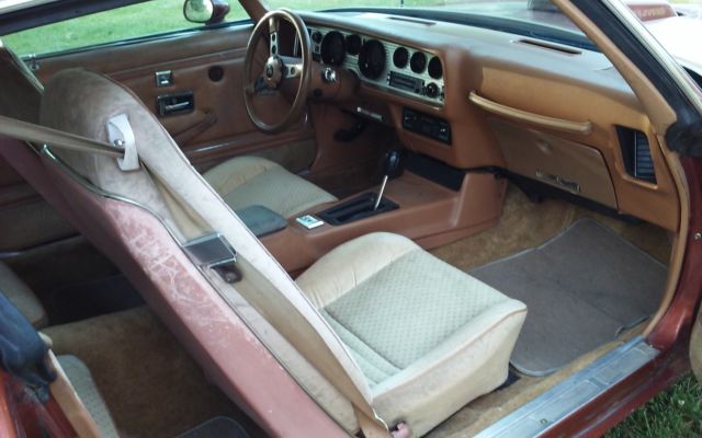 1980 Pontiac Trans Am - photo 7