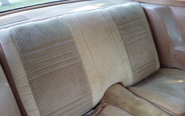 1980 Pontiac Trans Am - photo 8