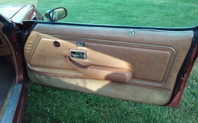 1980 Pontiac Trans Am - photo 9