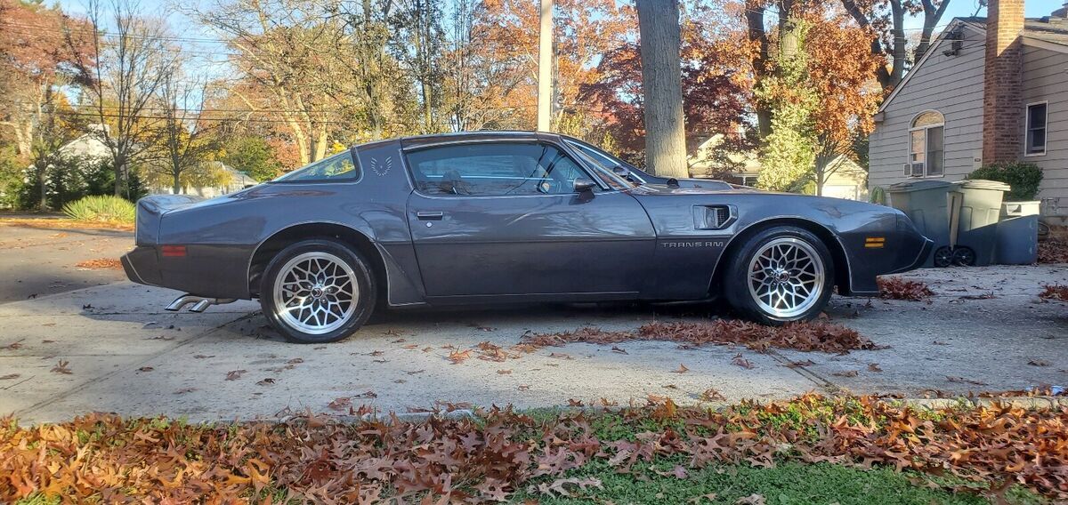 1980 Pontiac Trans Am Coupe Grey RWD Manual gray 1980 Pontiac Trans Am gray