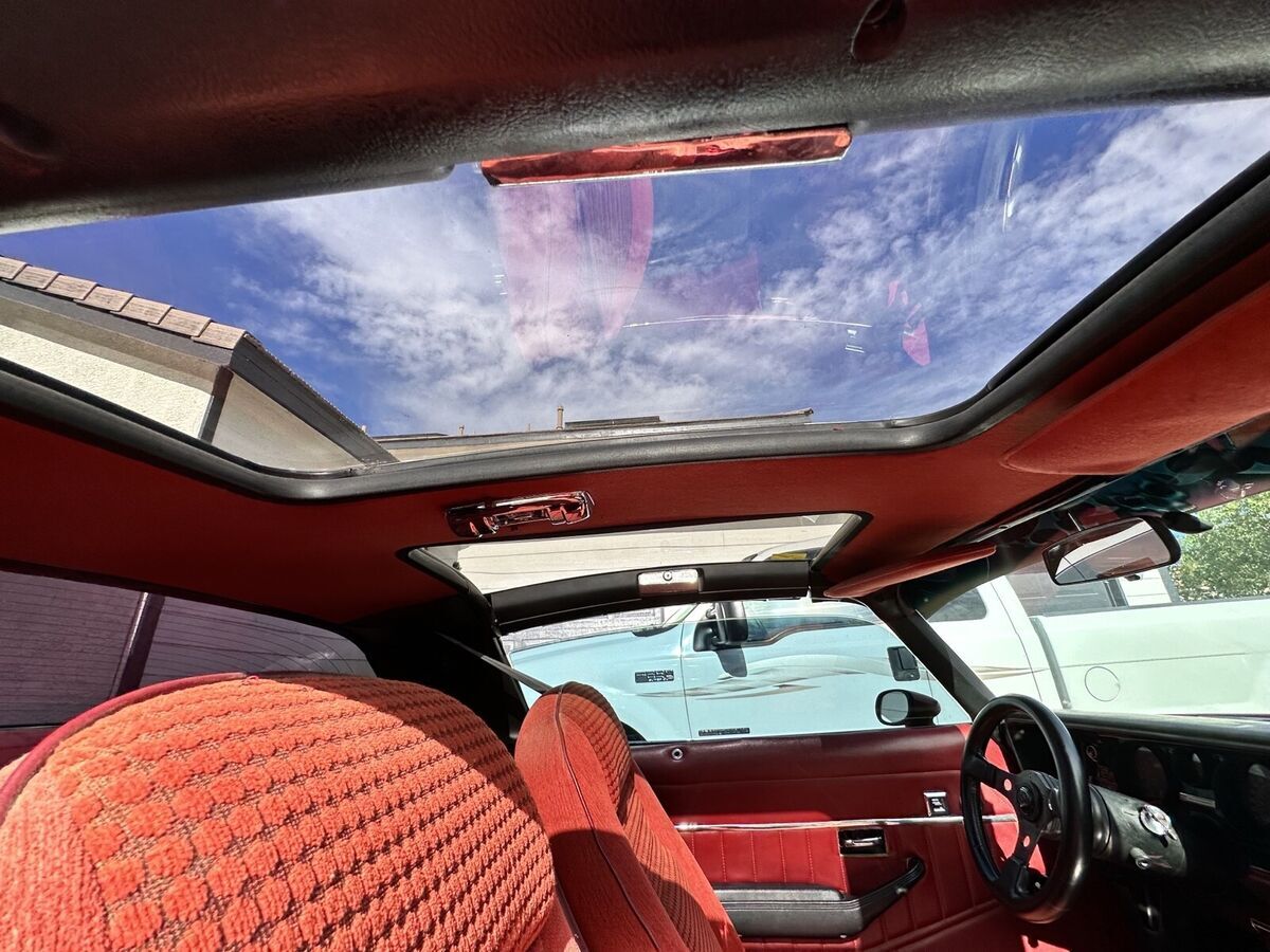 1980 Pontiac Trans Am Sport Coupe - photo 10