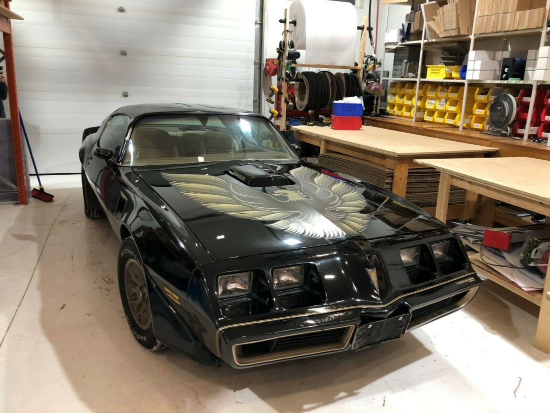 1980 Pontiac Firebird - photo 2