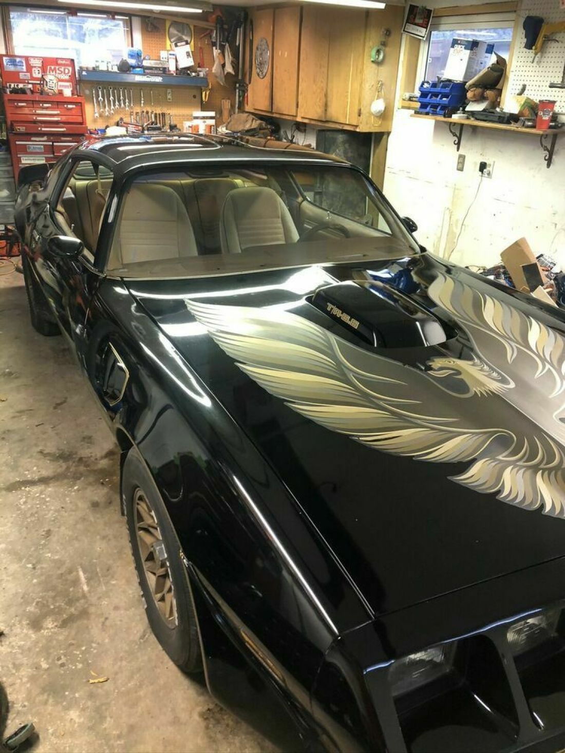 1980 Pontiac Firebird - photo 9