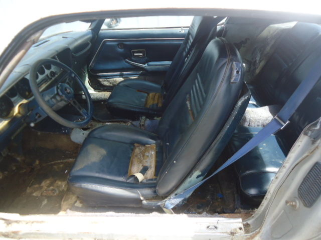 1980 Pontiac Trans Am - photo 11