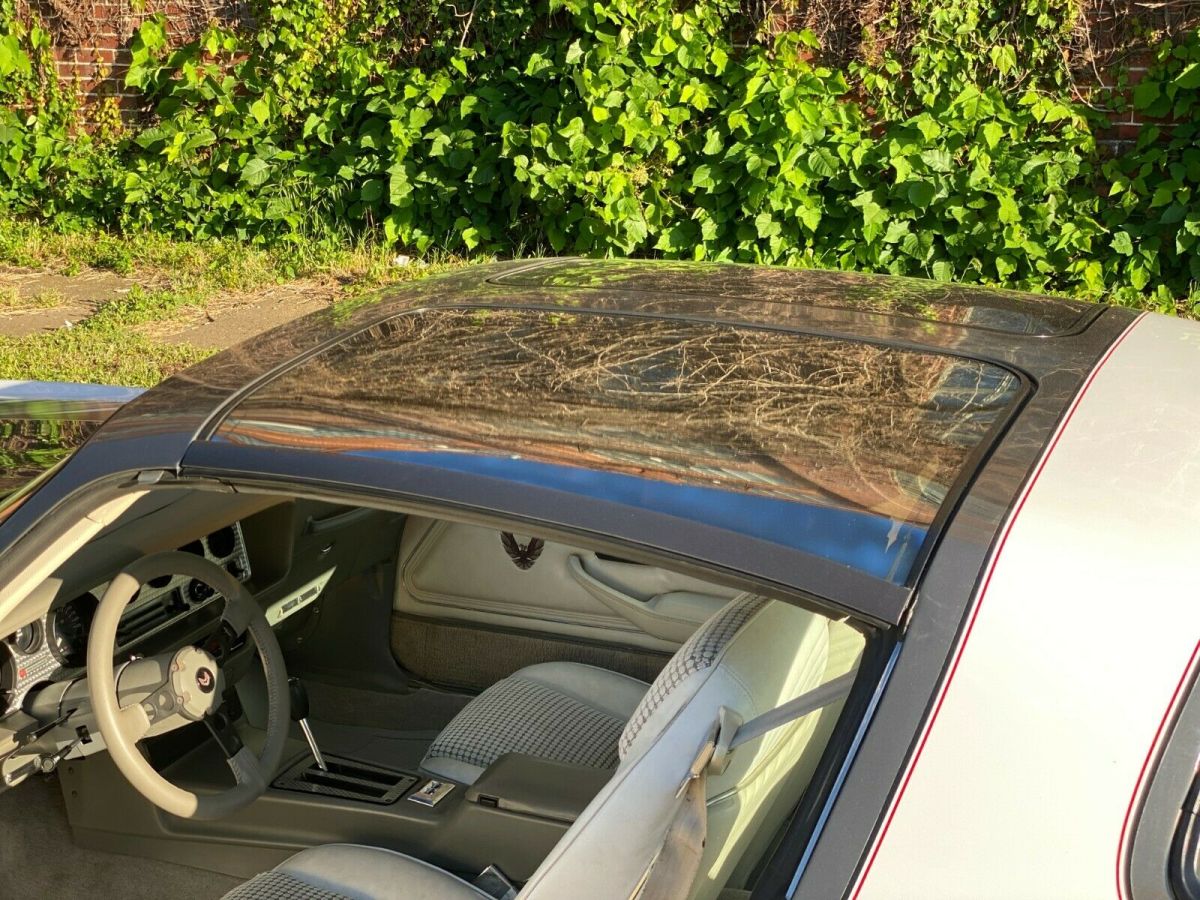 1980 Pontiac Trans Am - photo 10