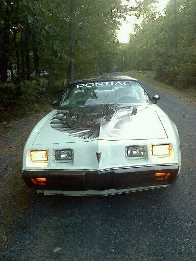1980 Pontiac Trans Am Indy Pace Car 1 of 5700 1980 Pontiac Trans Am Trans Am