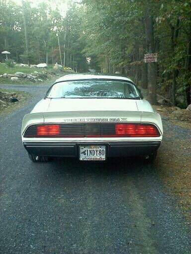 1980 Pontiac Trans Am Trans Am - photo 3