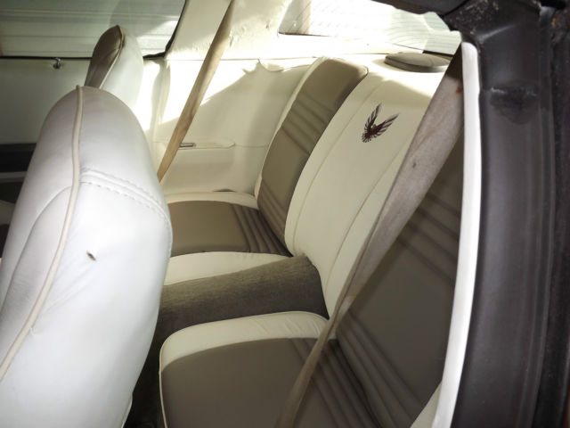 1980 Pontiac Trans Am Trans Am - photo 9