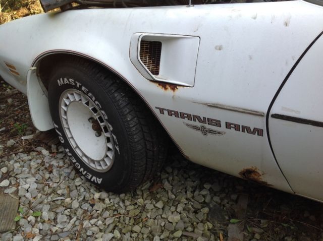 1980 Pontiac Trans Am Trans Am - photo 4