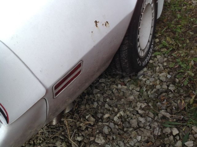 1980 Pontiac Trans Am Trans Am - photo 5
