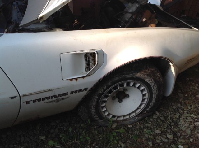 1980 Pontiac Trans Am Trans Am - photo 7