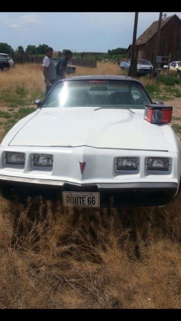1980 Pontiac Trans Am - photo 3