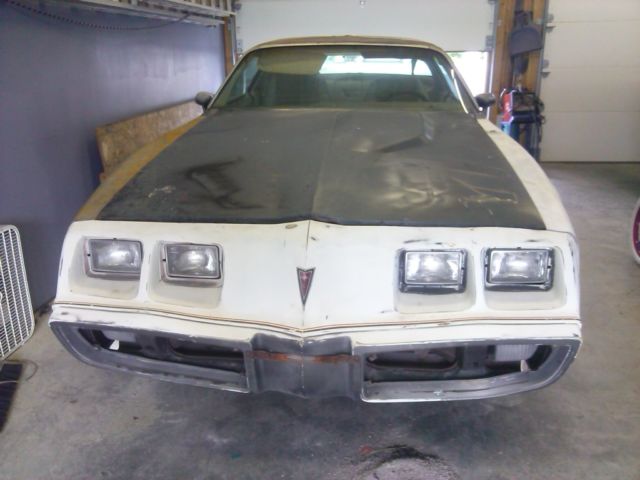 1980 Pontiac Trans Am - photo 2