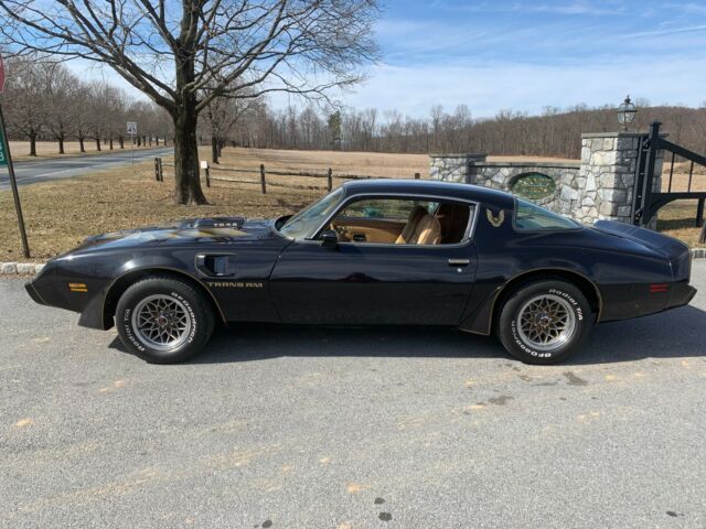 1980 Pontiac Trans Am - photo 3