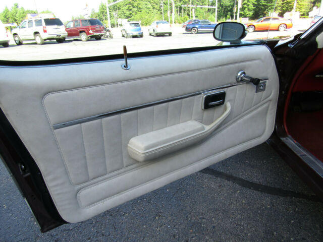 1980 Pontiac Trans Am - photo 12