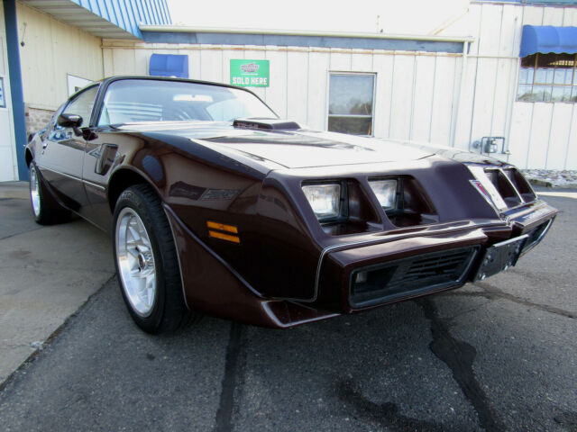1980 Pontiac Trans Am - photo 9