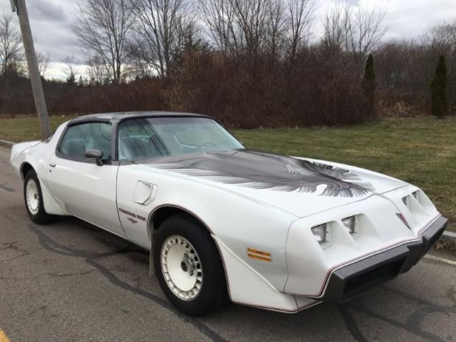 1980 Pontiac Trans Am PACE CAR - photo 2