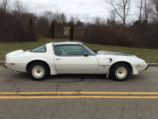 1980 Pontiac Trans Am PACE CAR - photo 6