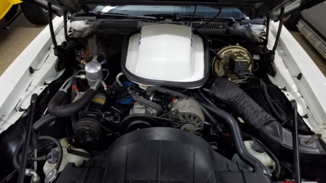 1980 Pontiac Trans Am - photo 3