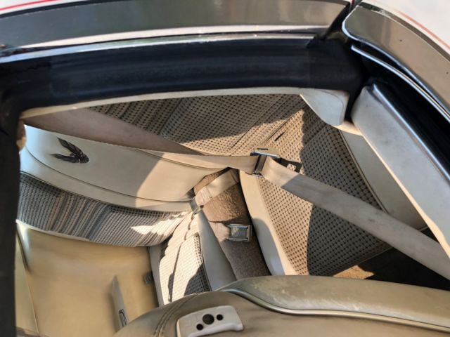 1980 Pontiac Trans Am - photo 6