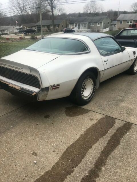 1980 Pontiac Trans Am TRANS AM - photo 5