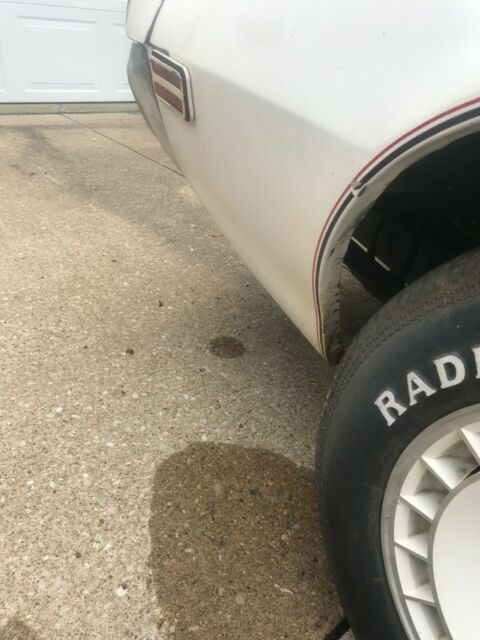 1980 Pontiac Trans Am TRANS AM - photo 7