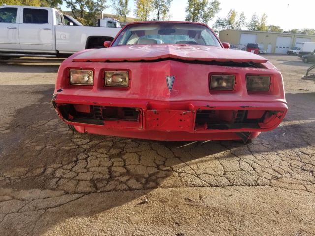 1980 Pontiac Firebird - photo 4