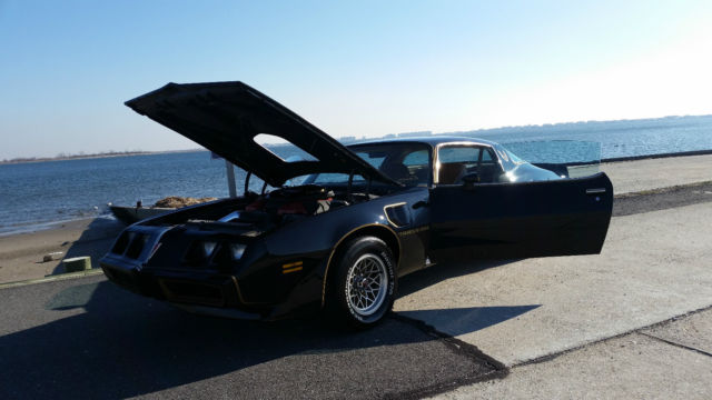 1980 Pontiac Trans Am T-TOPS - photo 10