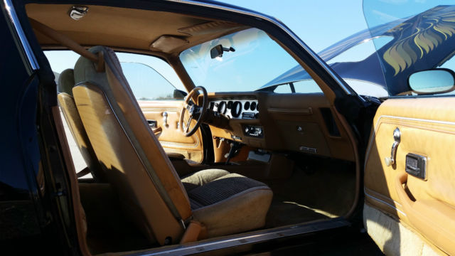 1980 Pontiac Trans Am T-TOPS - photo 11
