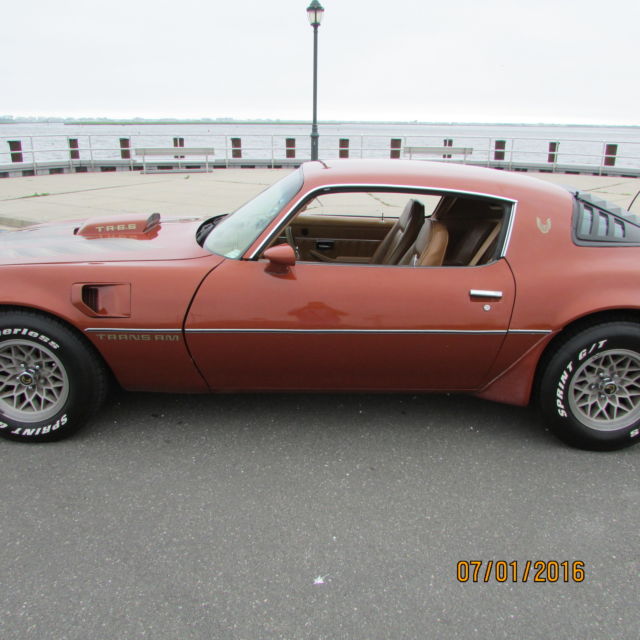 1980 Pontiac Trans Am Firebird