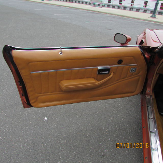 1980 Pontiac Trans Am Firebird - photo 13