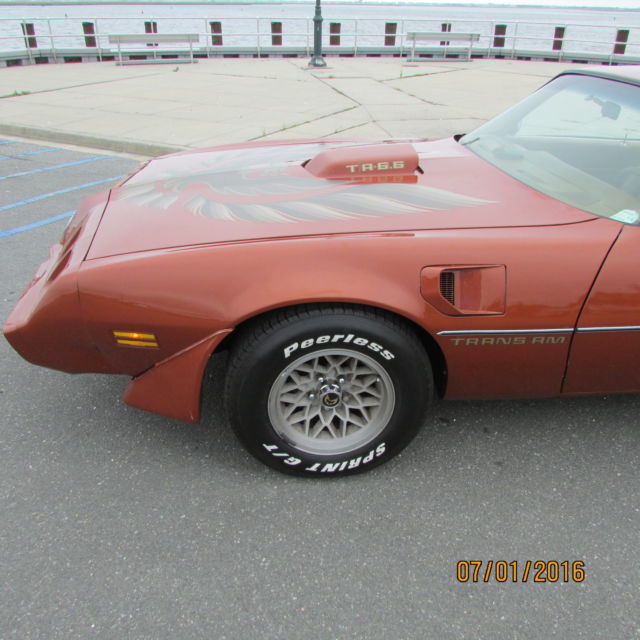 1980 Pontiac Trans Am Firebird - photo 6