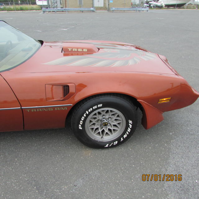 1980 Pontiac Trans Am Firebird - photo 8