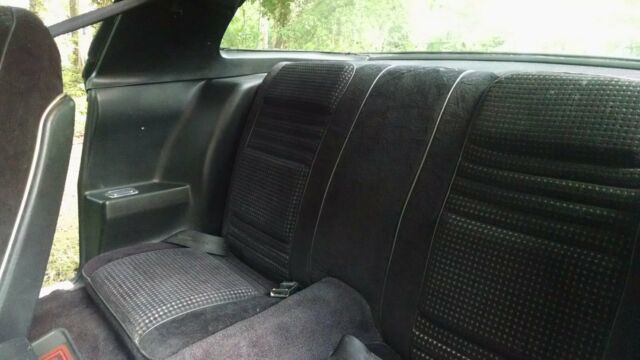 1980 Pontiac Firebird Trans Am - photo 11