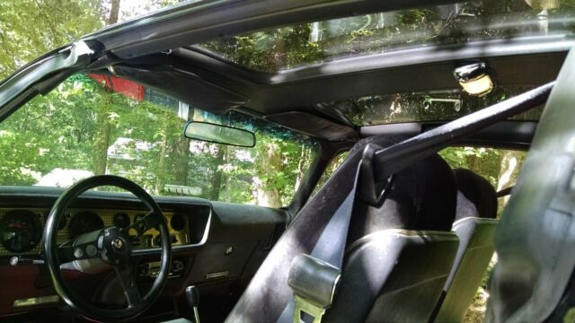 1980 Pontiac Firebird Trans Am - photo 13