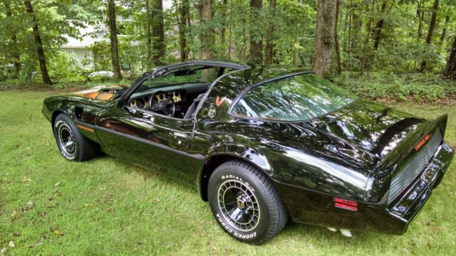 1980 Pontiac Firebird Trans Am - photo 4