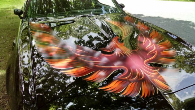 1980 Pontiac Firebird Trans Am - photo 6