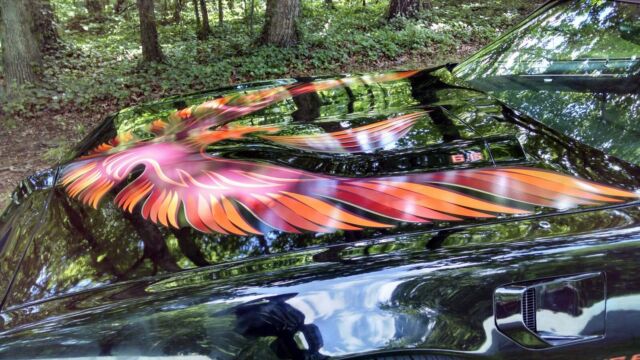 1980 Pontiac Firebird Trans Am - photo 8